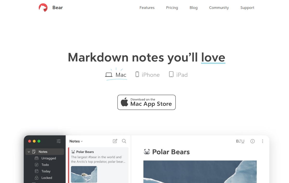 Bear official website screenshot