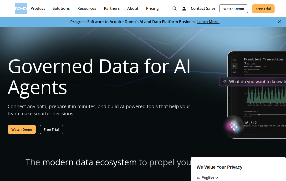 Domo official website screenshot